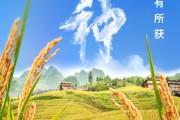 府谷芒种节气小知识来了 夏种作物都有什么？